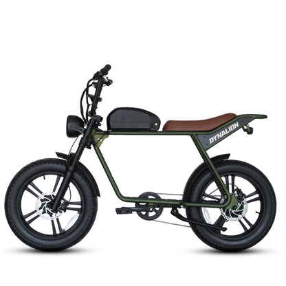 48v 750w 1000w Retro Electric Hybrid Bike
